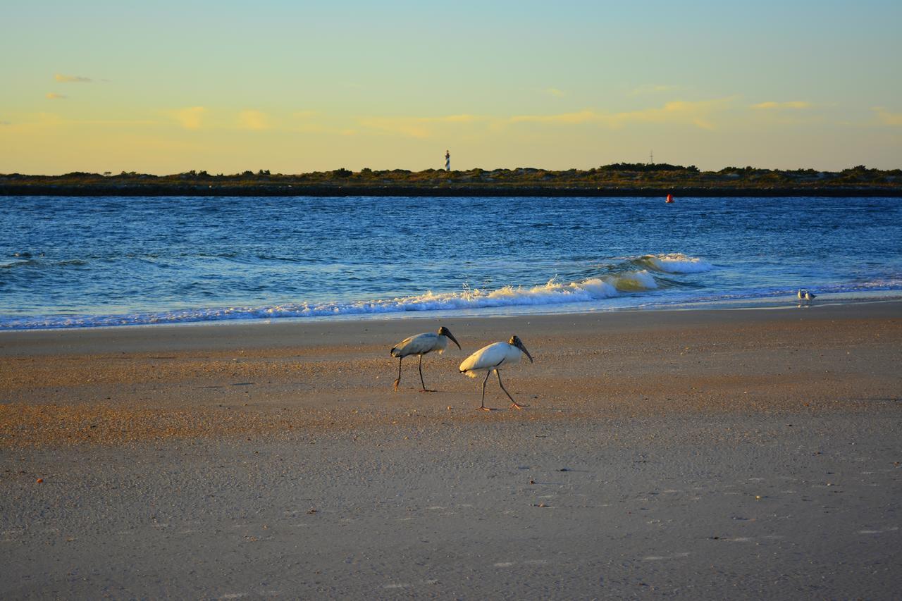 The Saint Augustine Beach House المظهر الخارجي الصورة