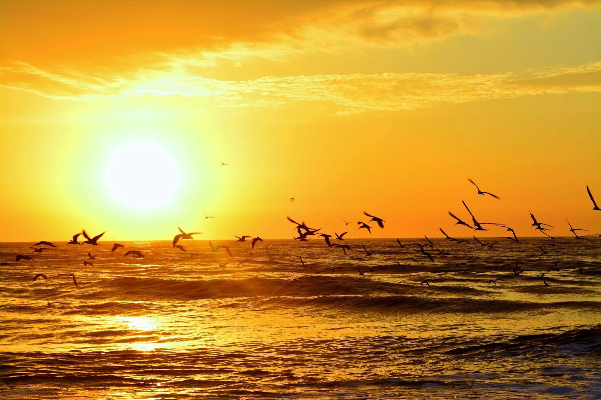 The Saint Augustine Beach House المظهر الخارجي الصورة